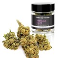 Susz CBD 5% Amnesia - 2G