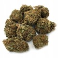 Susz CBD 5% TRIPLE CHEESE - 1G
