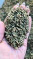 Susz CBD Premium rozdrobniony GELATO- 20 g