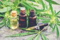 Olej CBG Dark 10% - 10 ml