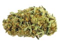 Susz CBD 4% Strawberry Kush - 2G