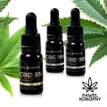 Olej CBD GOLD 10% - 10 ml