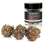 Susz CBD 4% Strawberry Kush - 1G