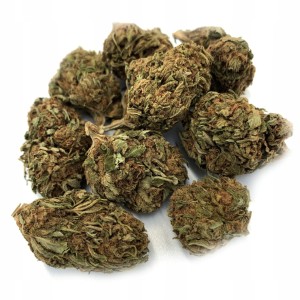 Susz CBD 5% TRIPLE CHEESE - 1G