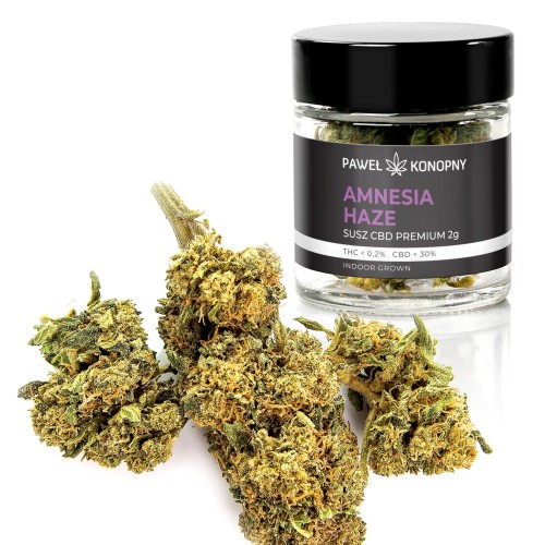 Susz CBD 5% Amnesia - 2G