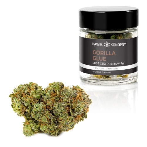 Susz CBD 5% Gorilla Glue - 1G