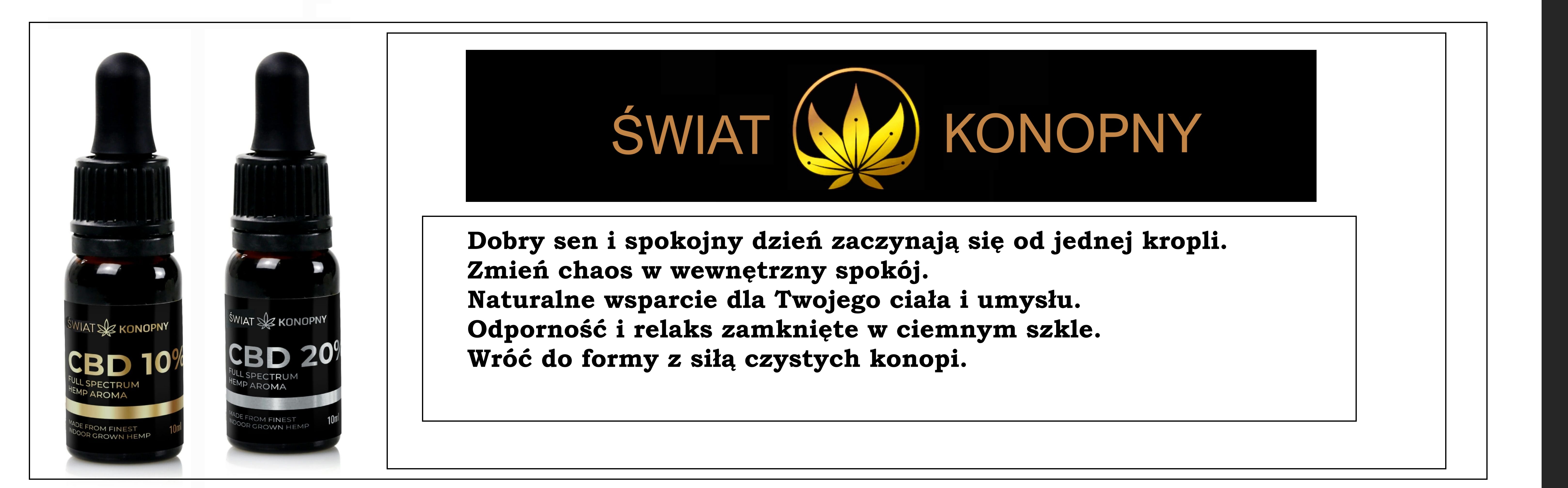 Slide 10